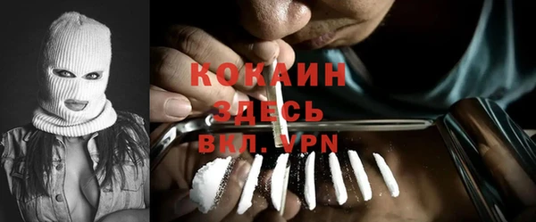 ALPHA PVP Богородицк